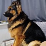 WhatsApp Image 2025-12-10 at 08.40.01 (3)