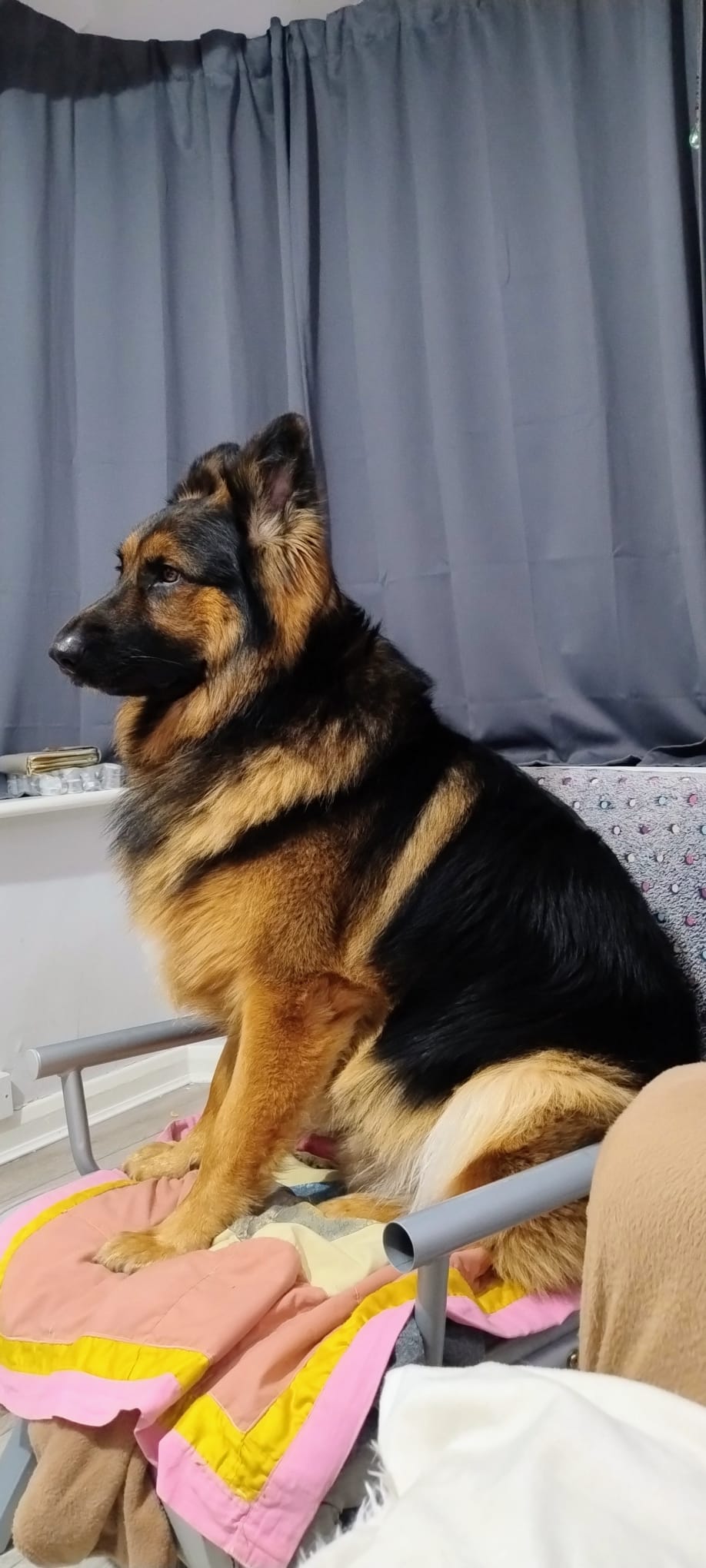 WhatsApp Image 2025-12-10 at 08.40.01 (3)