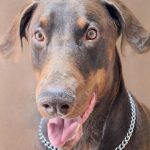 583315067_2394998587629021_587559157390970129_n