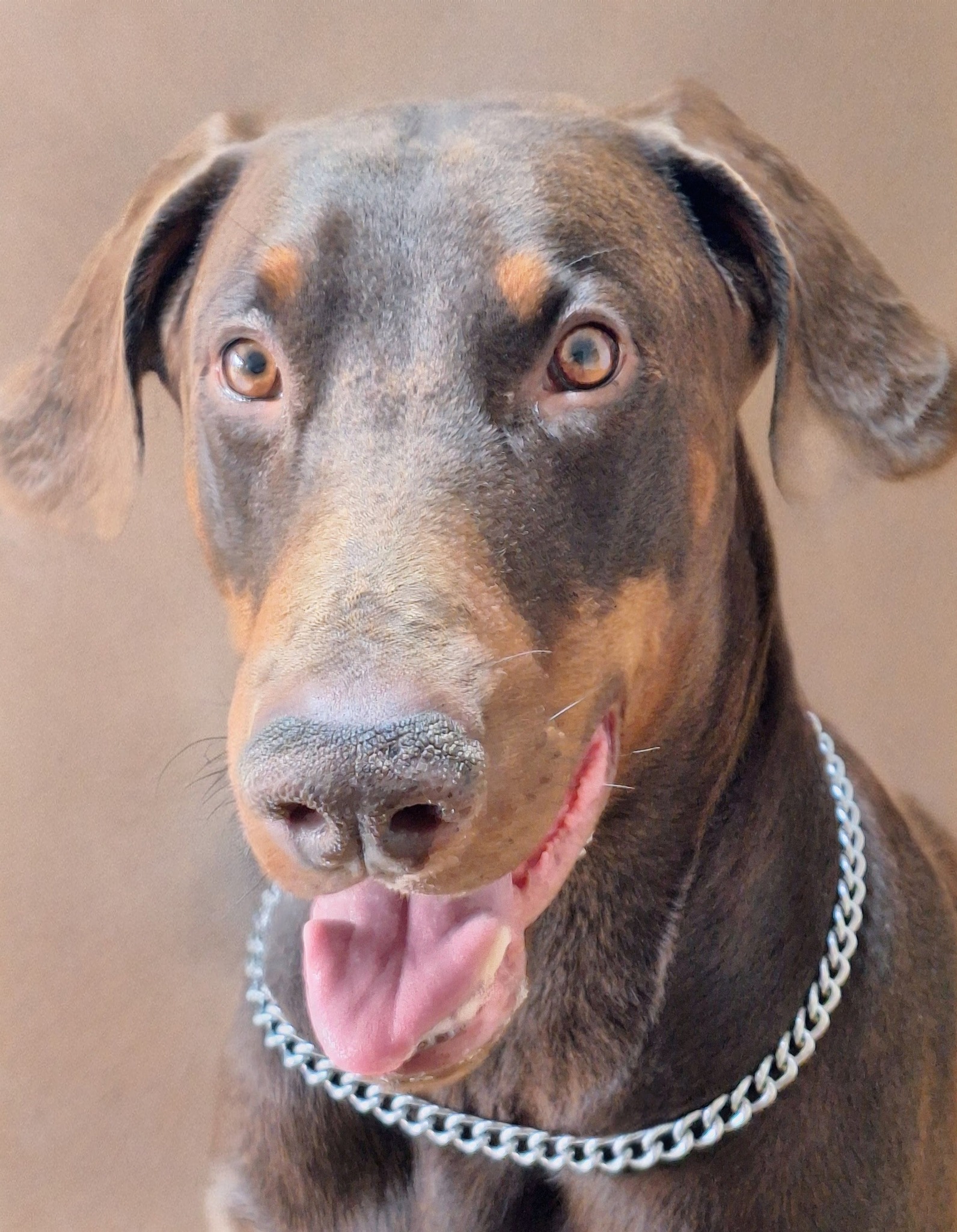 583315067_2394998587629021_587559157390970129_n