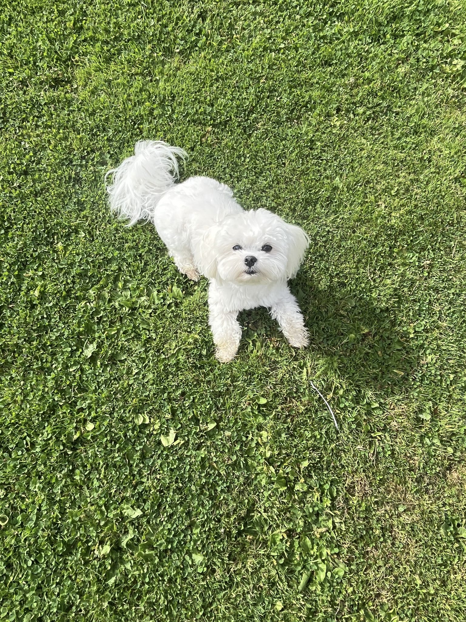 8710d82b-1b66-4217-9a4b-50f2efc4d93a