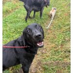 Screenshot_20251112_124232_Messenger