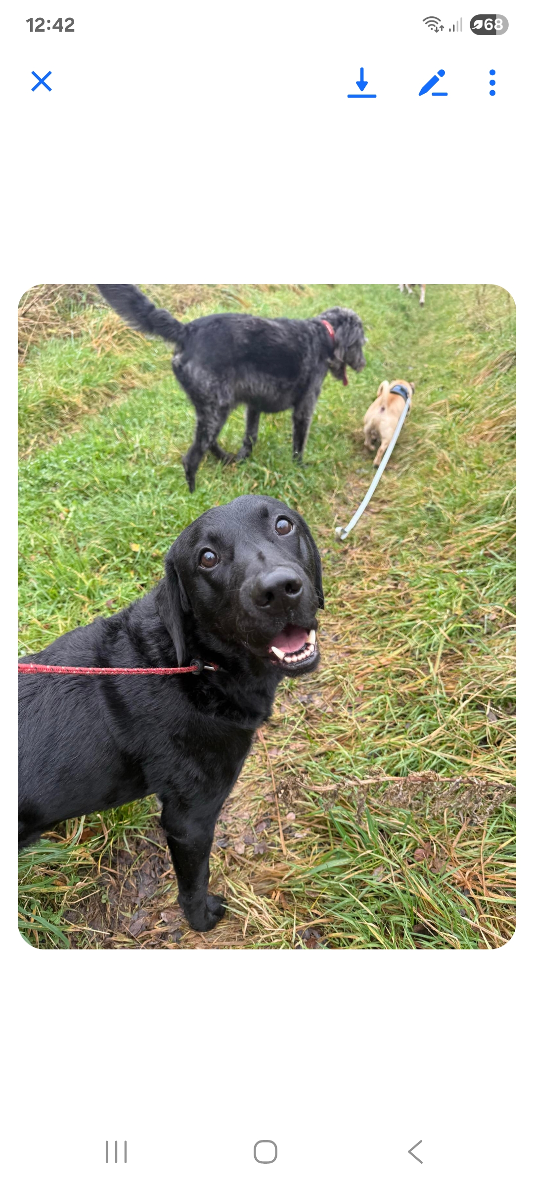 Screenshot_20251112_124232_Messenger