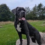 att.pJIpI96DjoW05I5ZQAXOjyrf3WWuZFI0tcjzlr-IznA