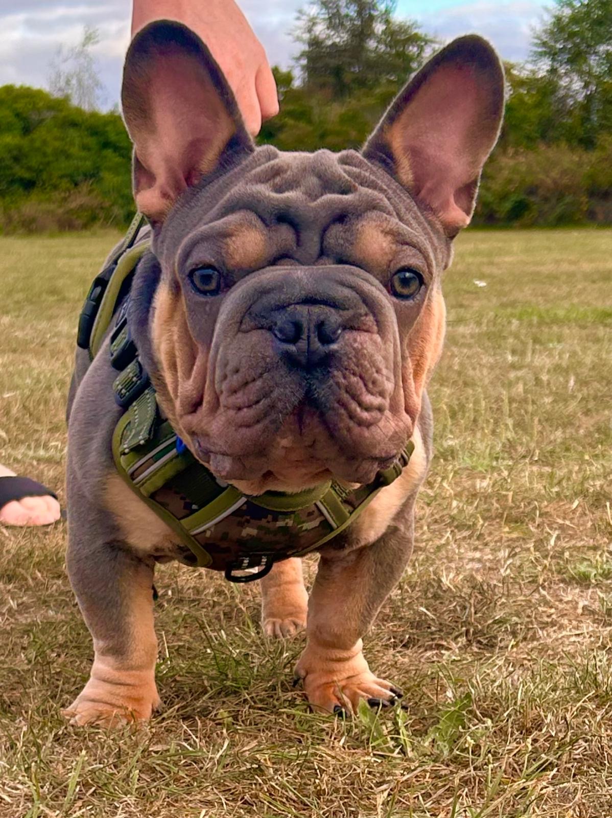 653e6e28-7b92-418b-b7f8-f43254d792b3