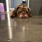 ec75ade9-6022-433c-80ee-c8ed13a92c49