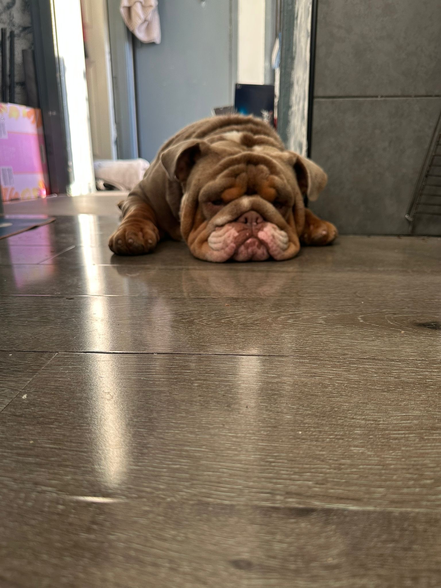 ec75ade9-6022-433c-80ee-c8ed13a92c49