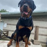 44B52A60-7F4D-40EA-A15E-DDB808C4F725