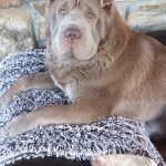 47fe9c66-31ce-46be-93be-b27033e2350e