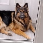 WhatsApp Image 2025-12-10 at 08.40.00 (3)