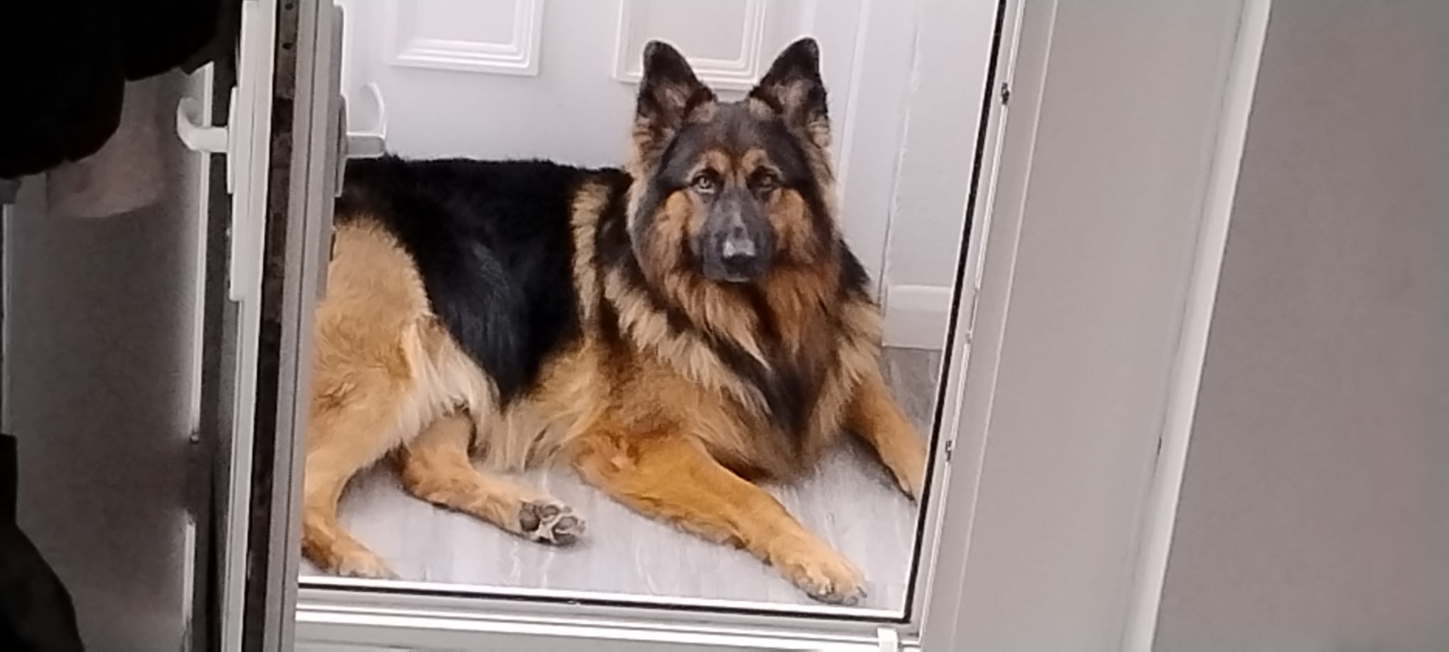 WhatsApp Image 2025-12-10 at 08.40.00 (3)