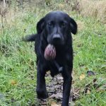 Screenshot_20251108_071904_WhatsApp