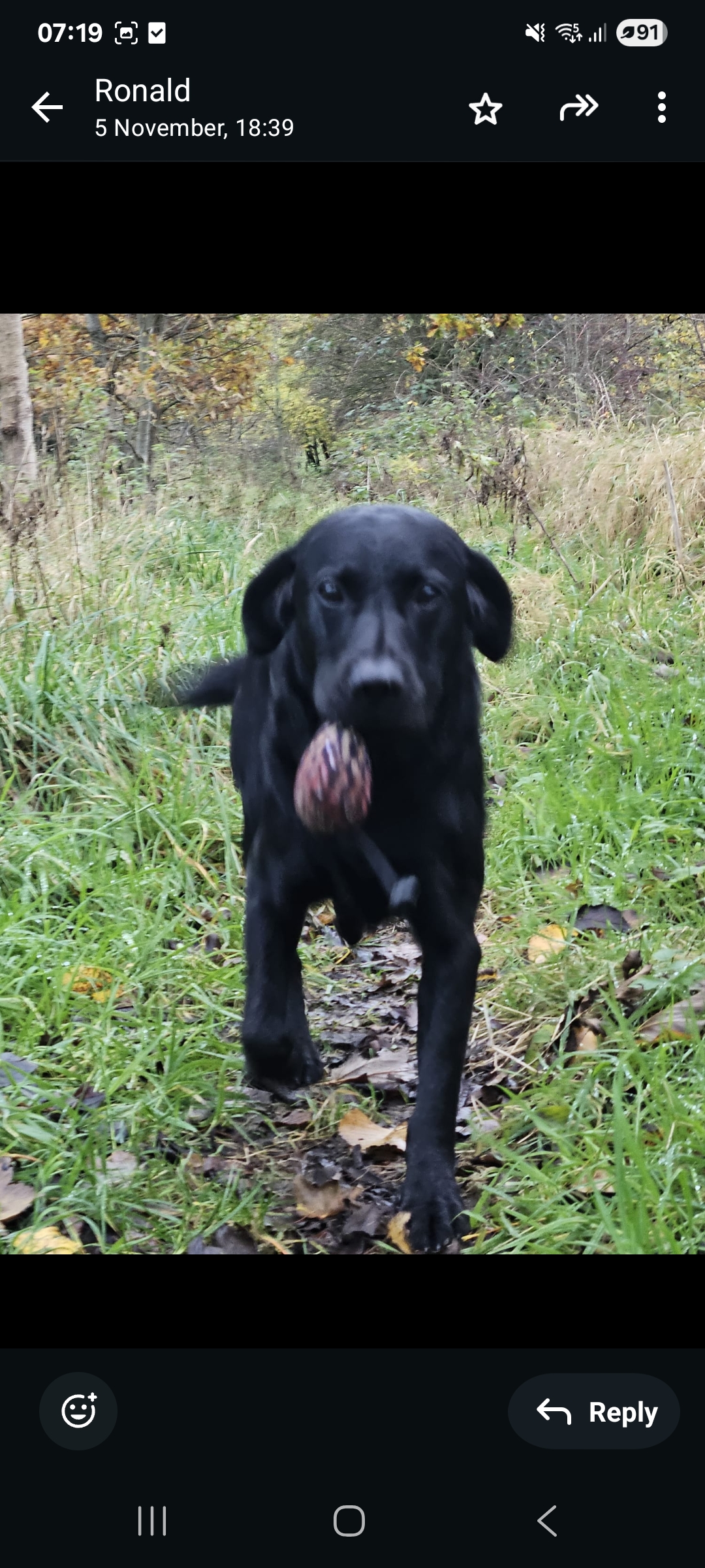 Screenshot_20251108_071904_WhatsApp