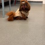 e9080c5c-d04b-465c-91f0-334b1c6510ad