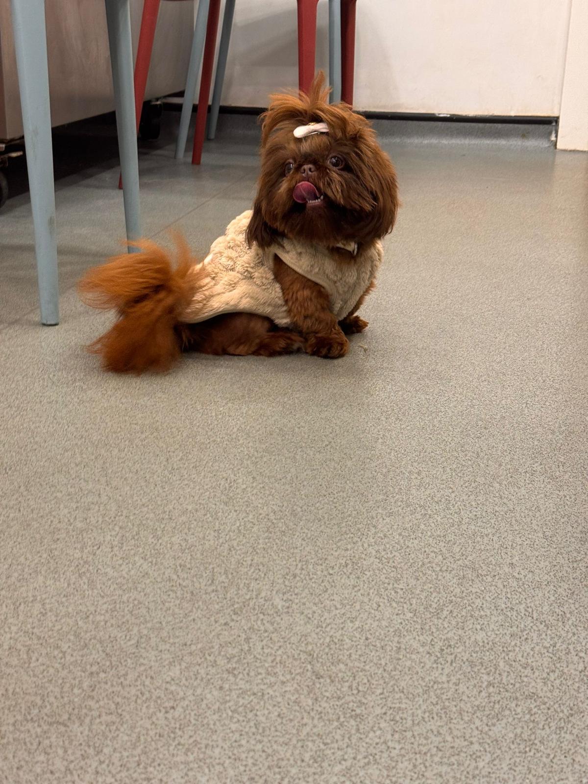 e9080c5c-d04b-465c-91f0-334b1c6510ad