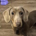 Screenshot_20251216_085410_Gallery