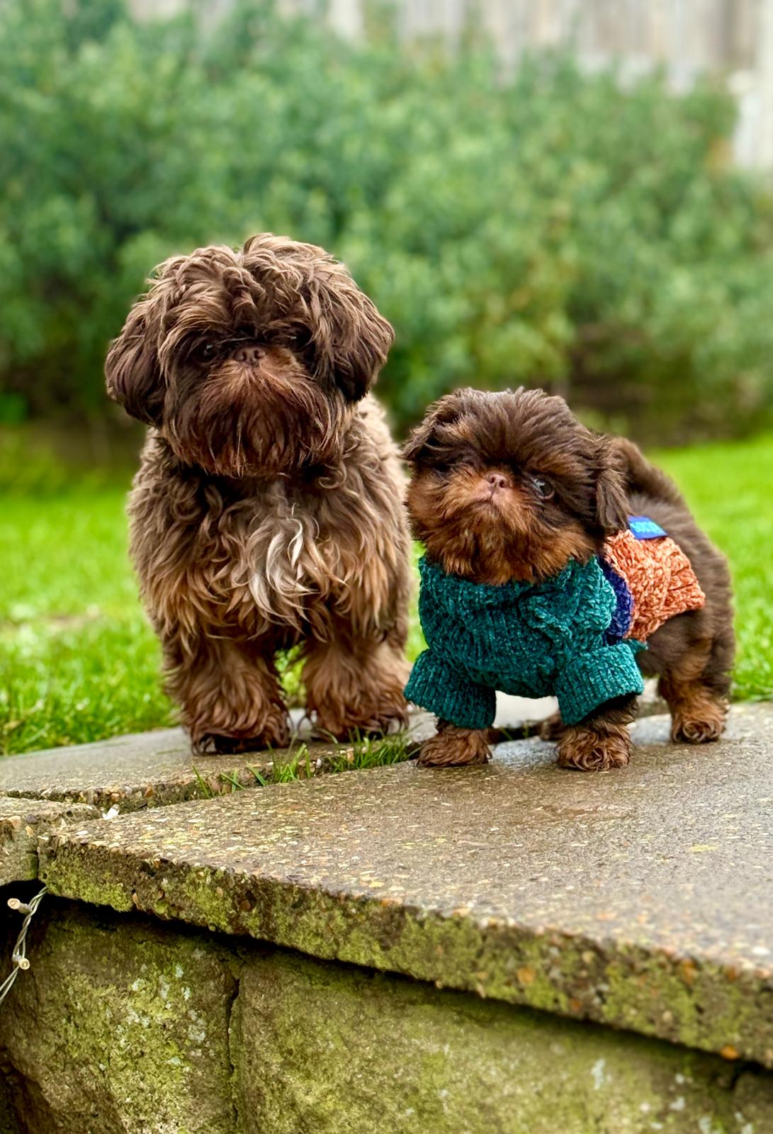 da9dba9b-8b9d-4ab8-8f19-385d03079472