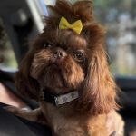 0b0ce51c-80be-4f70-9a8e-d4156cdb0a73_Original