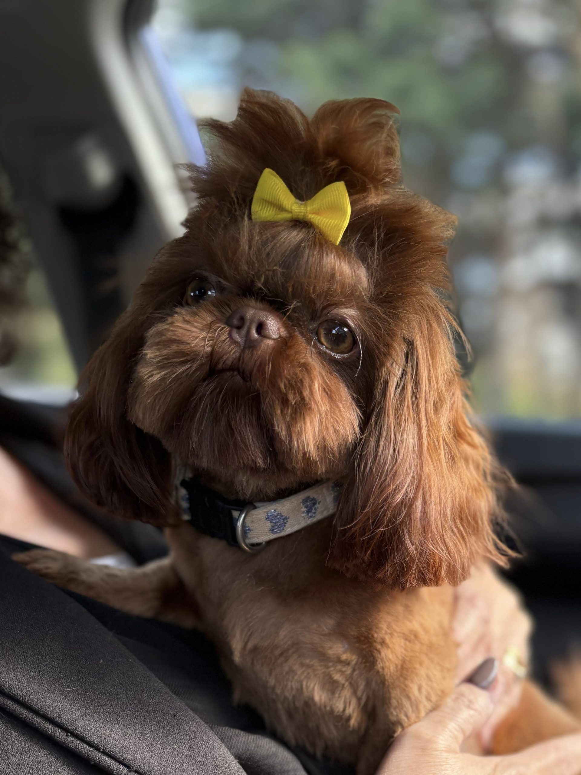 0b0ce51c-80be-4f70-9a8e-d4156cdb0a73_Original