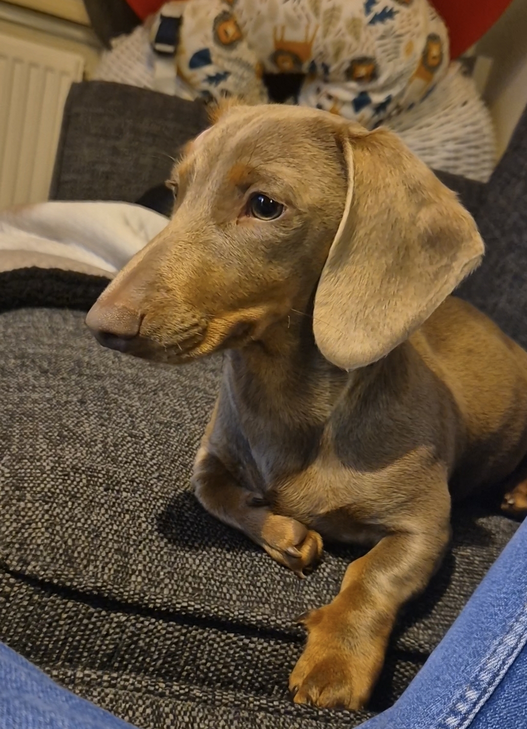 Screenshot_20251218_215749_Gallery