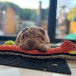 6fa570ff-83e5-41a3-b7ca-0d817c6a96f0