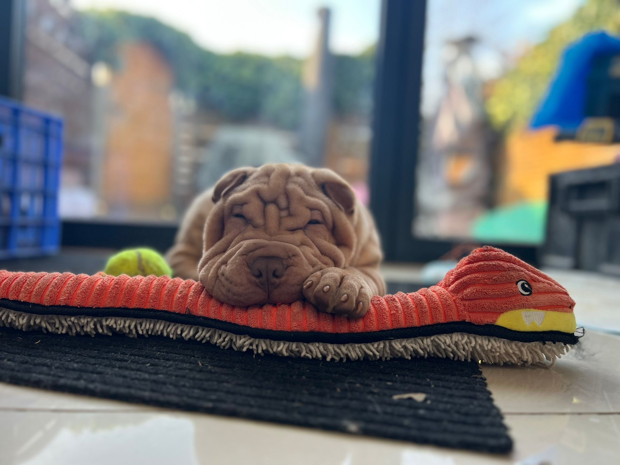 6fa570ff-83e5-41a3-b7ca-0d817c6a96f0