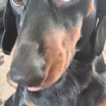 Screenshot_20260228_123509_Gallery