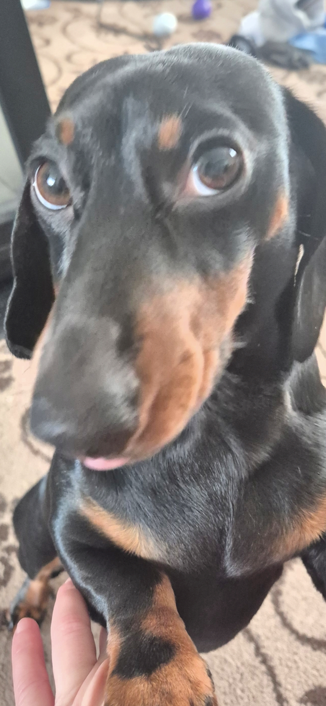 Screenshot_20260228_123509_Gallery