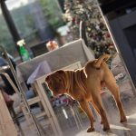 a674d7a1-dc04-4d58-8da2-565d879a13ba