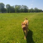 f856d7c1-6a0e-487f-ac50-35d73b565849