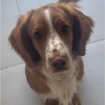 0ec05226-4700-4f1c-975f-ab63cae55792