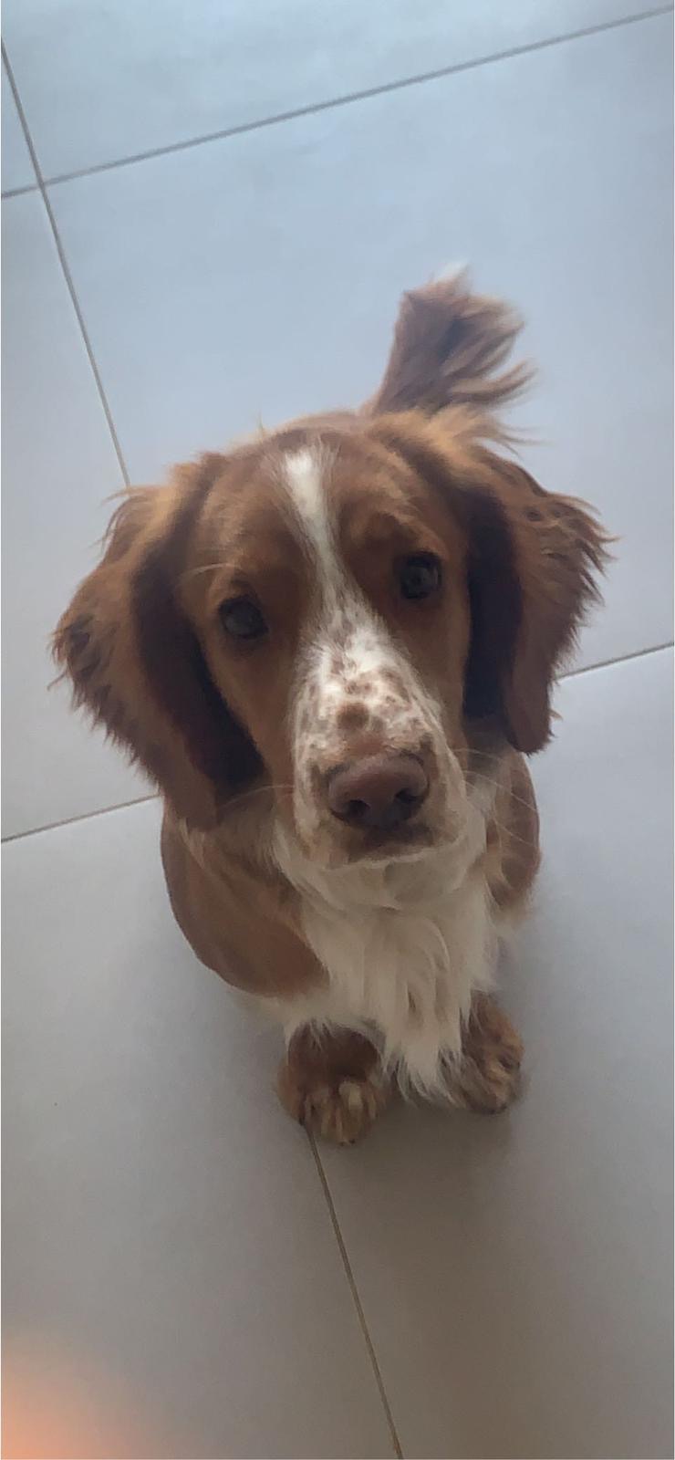 0ec05226-4700-4f1c-975f-ab63cae55792