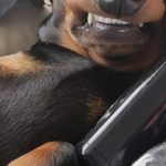 Screenshot_20260228_123224_Gallery