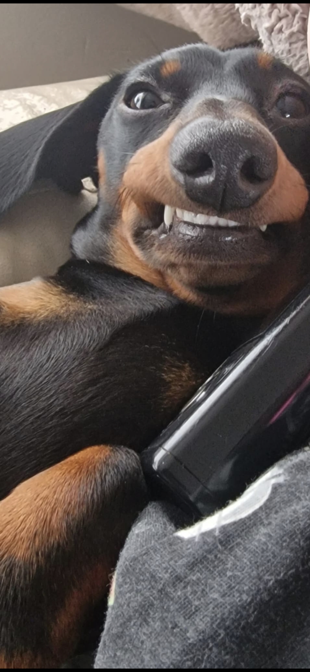 Screenshot_20260228_123224_Gallery