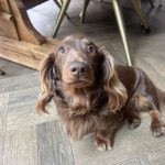 C46C066D-4875-4202-B24E-A582A9D4916C