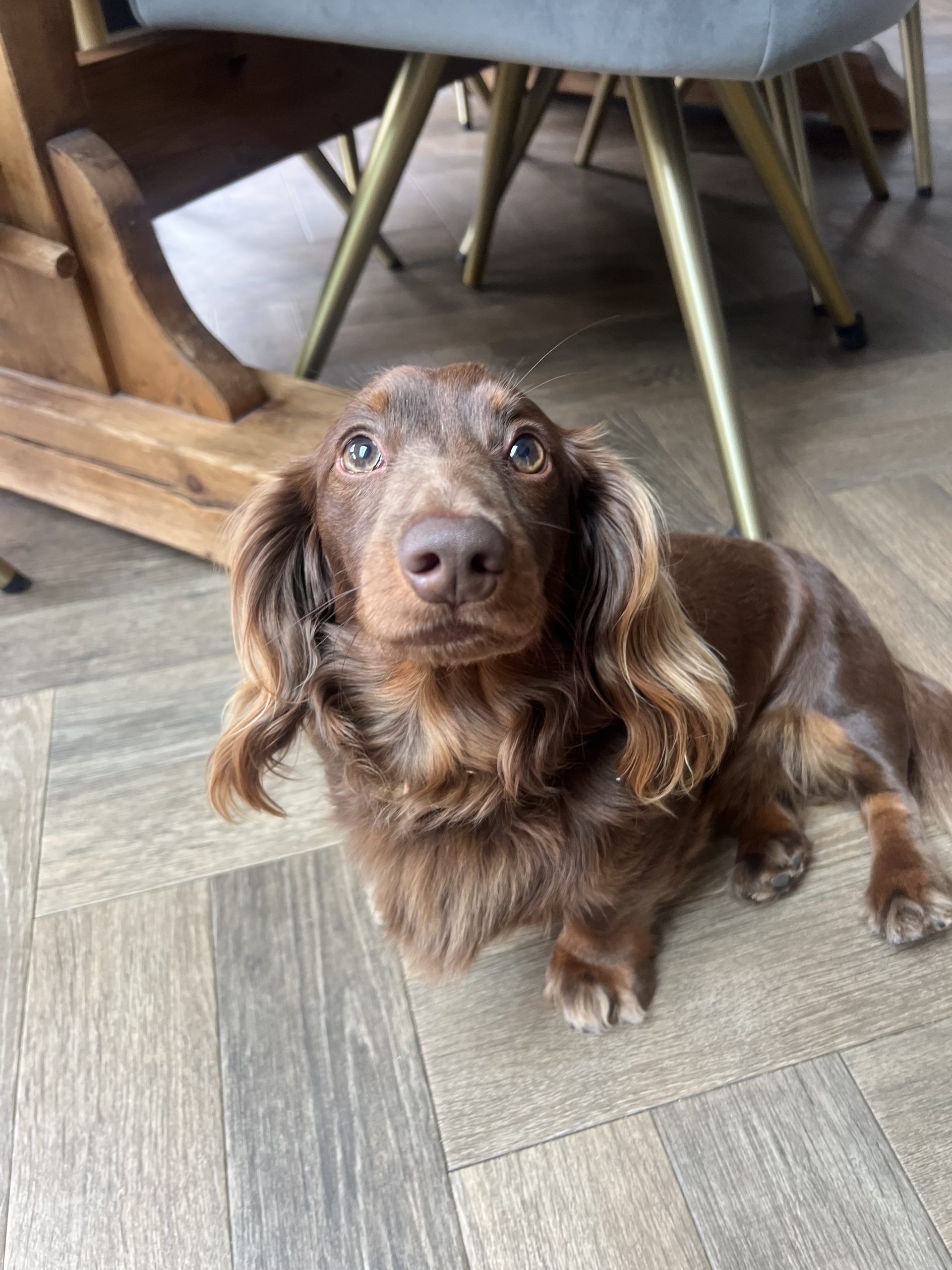 C46C066D-4875-4202-B24E-A582A9D4916C