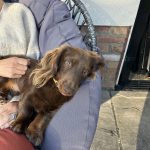 CC534D2E-0515-4AB2-AC27-C345BBC926A5