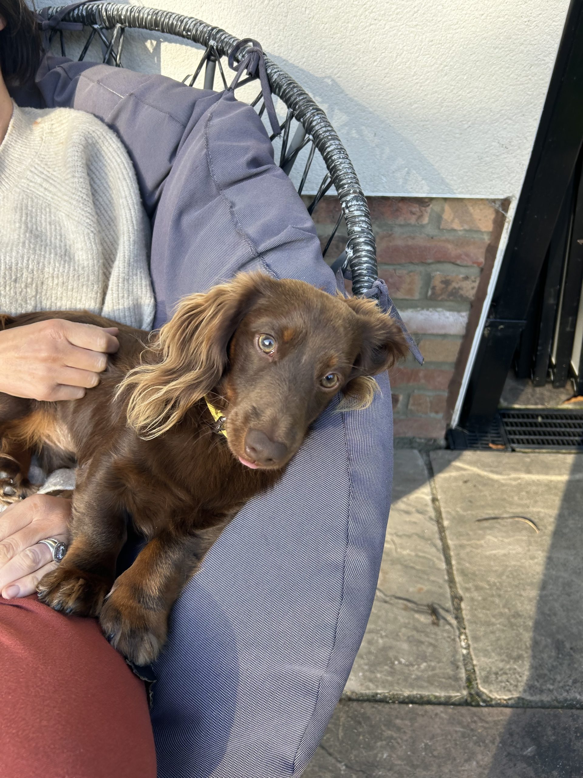 CC534D2E-0515-4AB2-AC27-C345BBC926A5