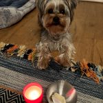 WhatsApp Image 2026-04-28 at 14.08.23