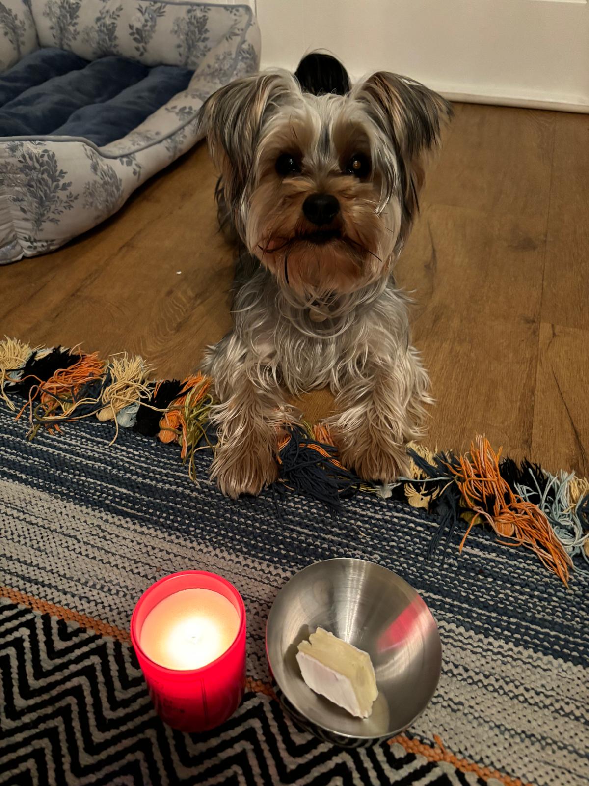 WhatsApp Image 2026-04-28 at 14.08.23