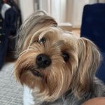 WhatsApp Image 2026-04-28 at 13.54.02