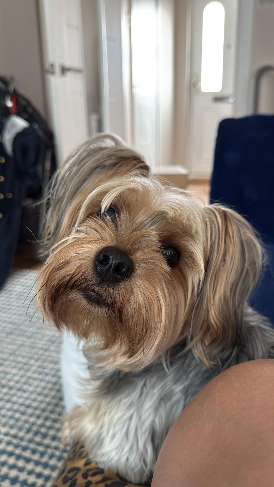 WhatsApp Image 2026-04-28 at 13.54.02