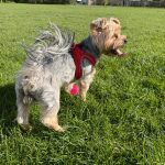 WhatsApp Image 2026-04-28 at 13.49.08