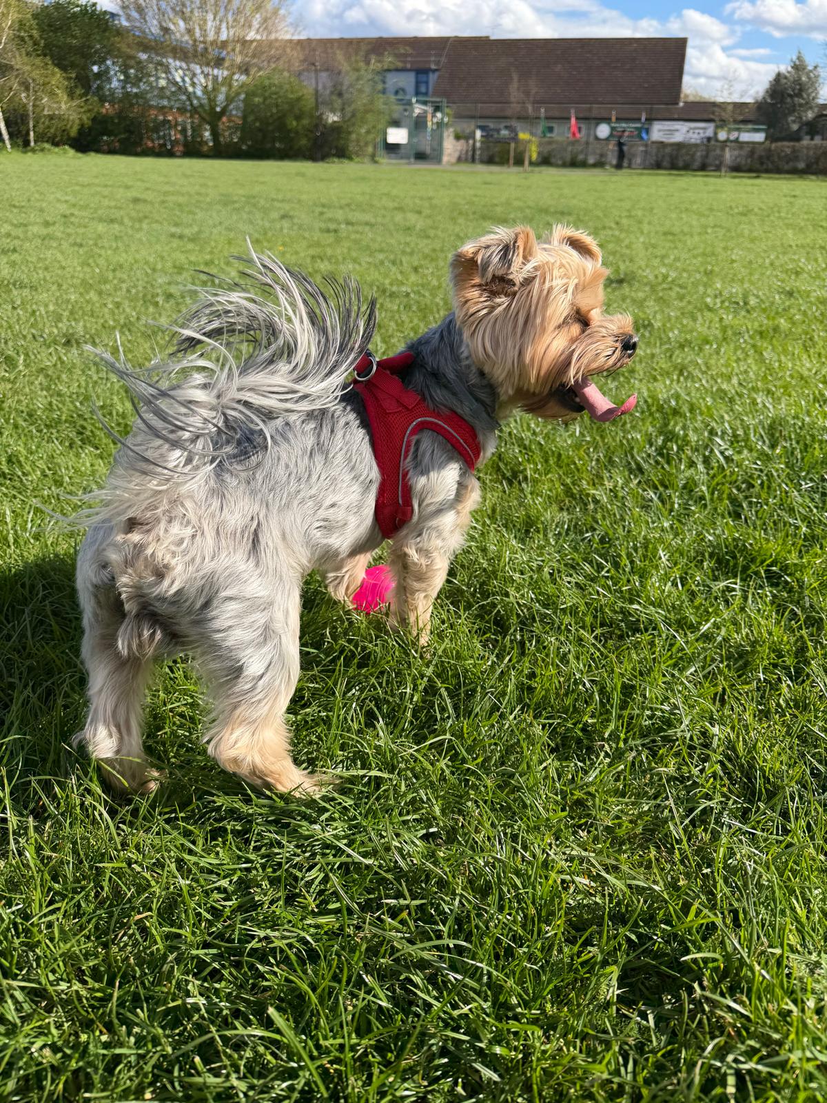 WhatsApp Image 2026-04-28 at 13.49.08