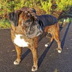 IMG_20241229_095237_edit_107972338624148