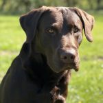 c8330e12-7ab1-4499-94d9-b0a6897d9973