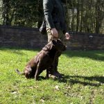 e998de96-4c36-45c5-9ed9-24effc6cc77c