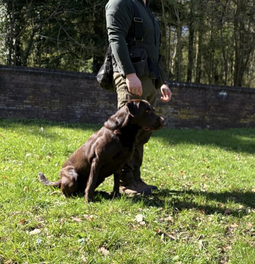 e998de96-4c36-45c5-9ed9-24effc6cc77c