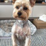 WhatsApp Image 2026-04-28 at 13.53.36