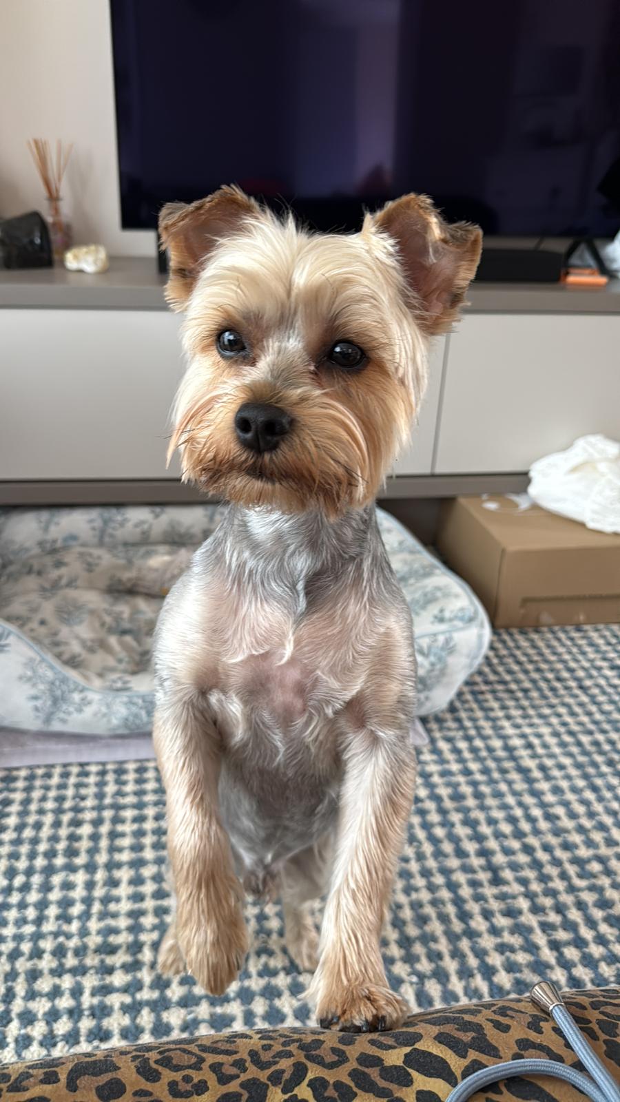 WhatsApp Image 2026-04-28 at 13.53.36